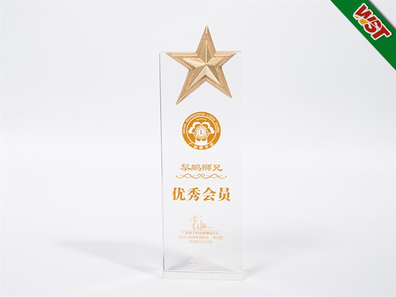優(yōu)秀會(huì)員獎(jiǎng)杯